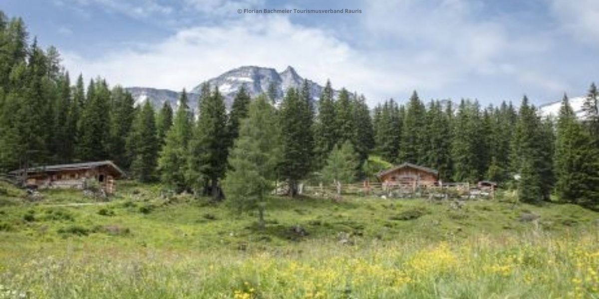 Naturerlebnis Nationalpark Hohe Tauern