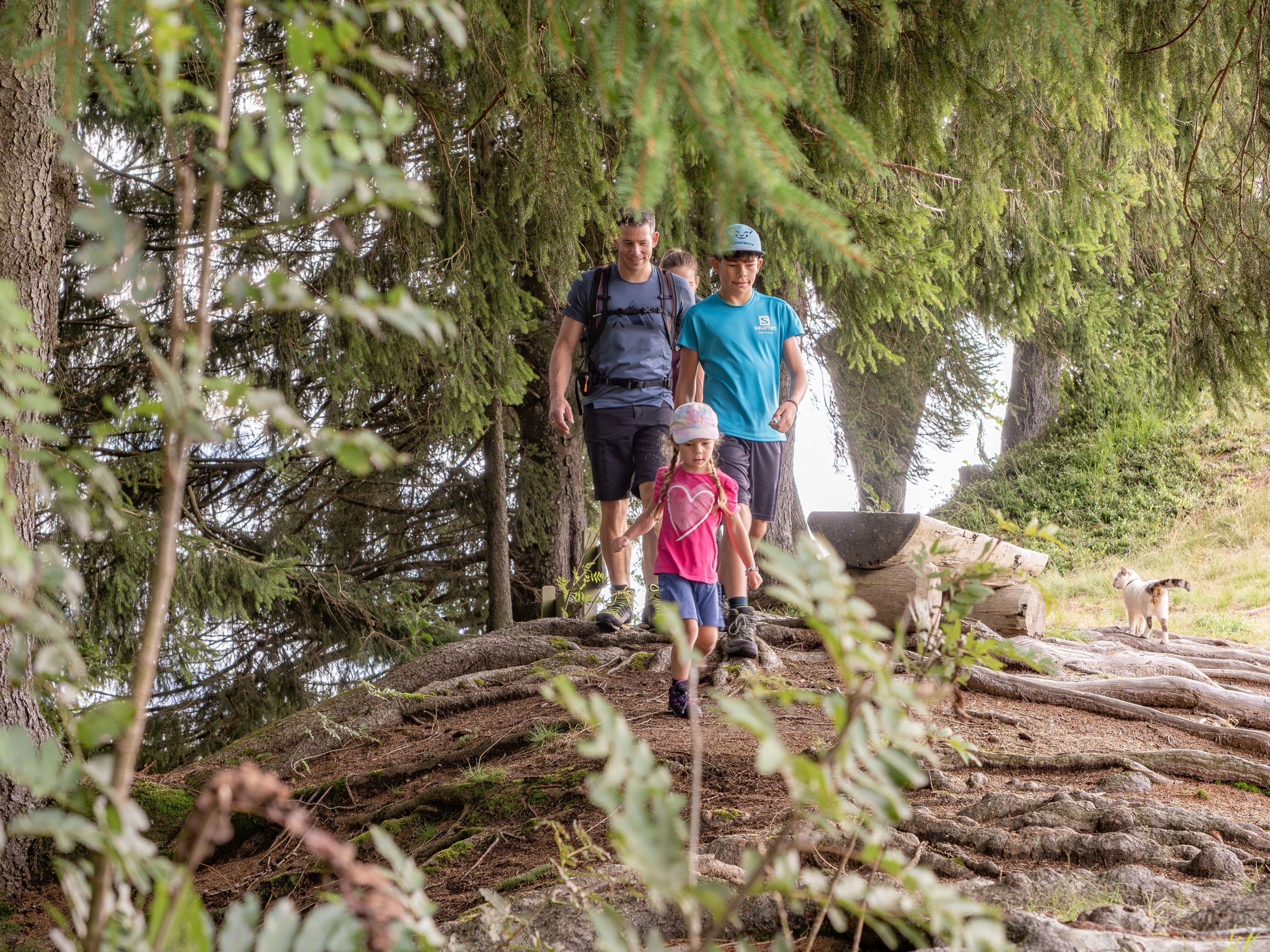!!!Kinder bis 12 Jahre FREI!!! im Salzburger Land inkl. National Park Card und Großglockner Hochalpen Straße