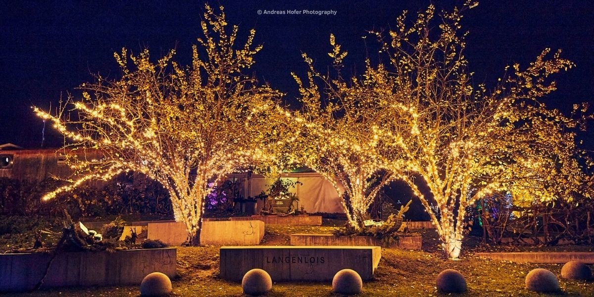 Adventzauber in der Wachau im Wunderland der Gartenfantasie