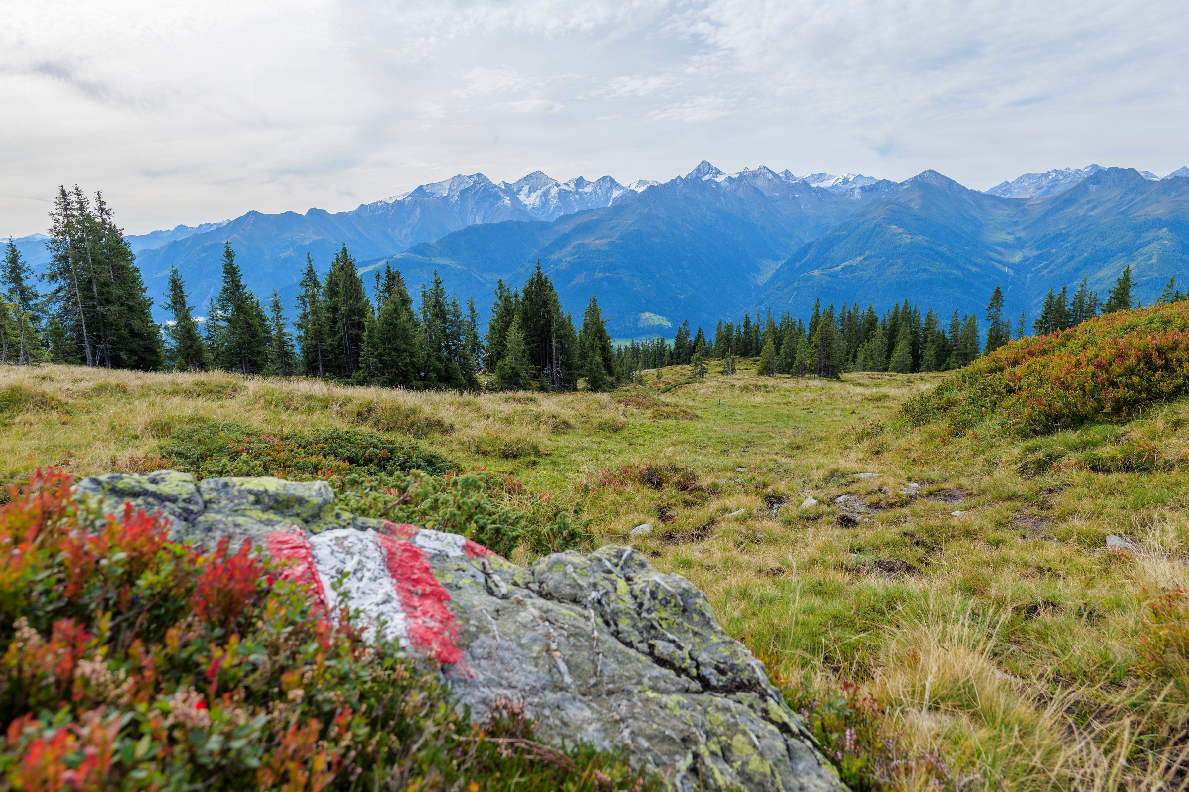 !!!Kinder bis 12 Jahre FREI!!! im Salzburger Land inkl. National Park Card und Großglockner Hochalpen Straße