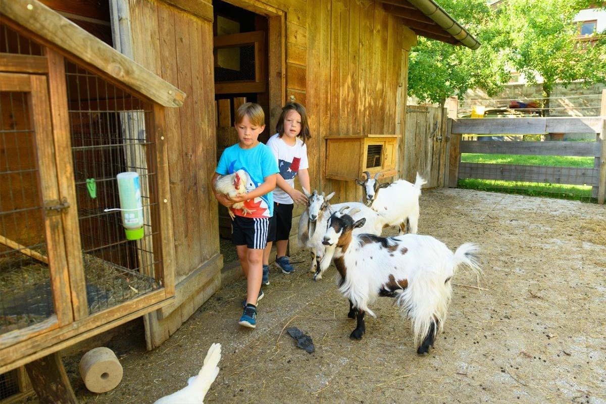 !!!Kinder bis 12 Jahre FREI!!! im Salzburger Land inkl. National Park Card und Großglockner Hochalpen Straße