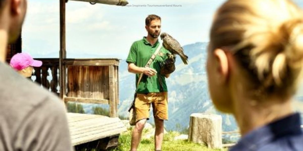 Naturerlebnis Nationalpark Hohe Tauern